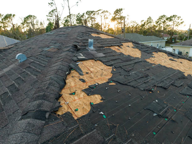 Best Sheet Metal Roofing  in Lennox, SD
